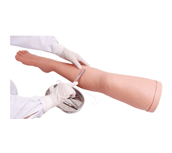 下肢外科基本操作模型