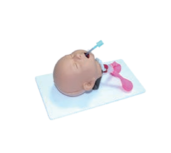 婴儿气管插管操作模型
