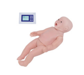 新生儿听诊模拟人（单机版）