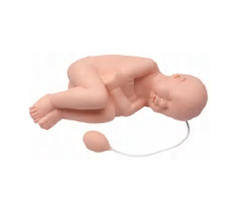 六个月婴儿腰椎穿刺模拟人