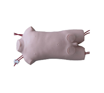 儿童股静脉与股动脉穿刺电动模型