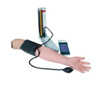 血压测量手臂