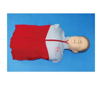 CPR Torso Angus Basic