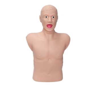 Heimlich Torso Adult