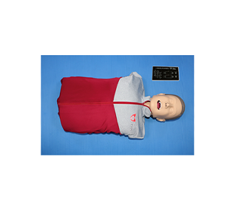 CPR Angus Torso(Intubation)