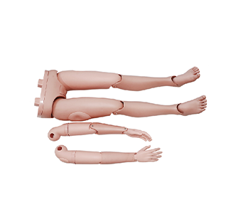 Flexible limbs(Replaceable)