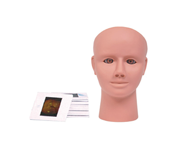 Fundus disease inspection simulator