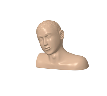 Ear irrigation training simulator
