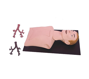 Bronchoscopy training simulator