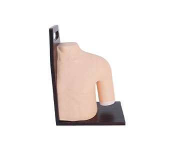 Shoulder intra-articular injection model