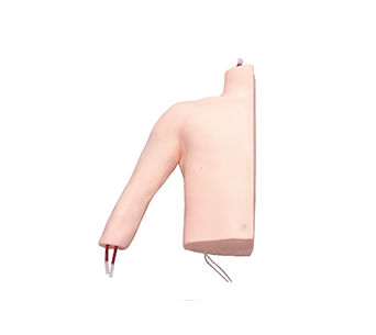 Peripheral puncture and central venous catheter insertion simulator