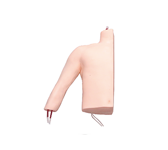 Subclavian vein puncture manikin (electronic version)