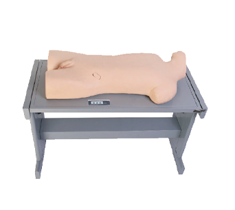 Liver abscess puncture and thoracentesis training simulator