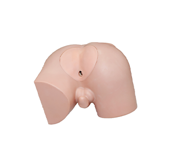 Enema operation simulator