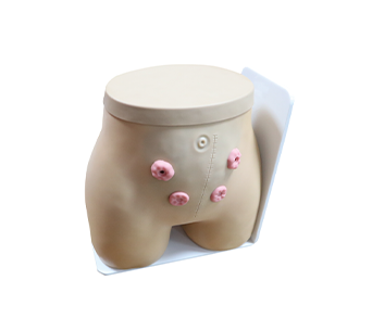 Fistulostomy caring simulator