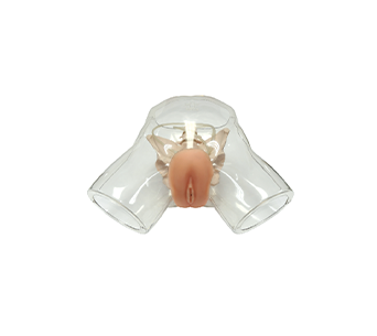 Transparent male catheterization simulator