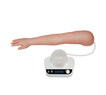 Intravenous arm model (right hand)