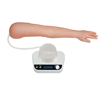 Intravenous arm model (left hand)