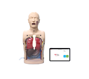 Transparent gastric lavage training and assessment system