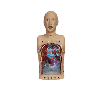 Transparent gastric lavage simulator