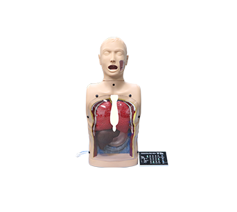 Advanced Transparent gastric lavage simulator