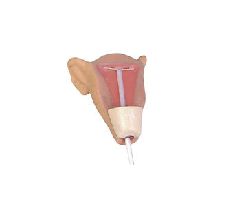 IUD training simulator I