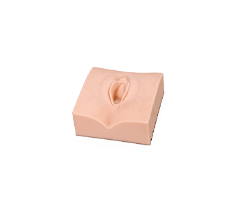 Advanced Episiotomy Suture Manipulation simulator (No Incision)