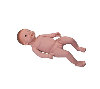 Advanced Neonatal Simulator