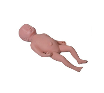 Advanced Fetal simulator