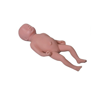 Advanced Fetal Model