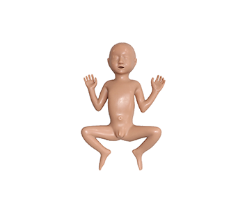30 week Premature infant simulator