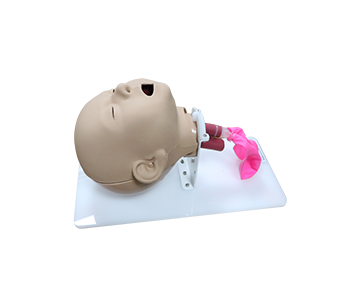 Infant tracheal intubation simulator