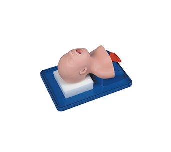 Neonatal tracheal intubation training simulator