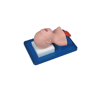 Neonatal tracheal intubation training model