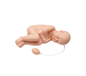 6 month infant lumbar puncture simulator