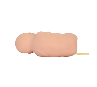 Infant Lumbar Puncture Simulator
