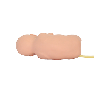 Infant Lumbar Puncture Manikin