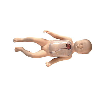 Neonatal peripheral central venous catheterization simulator
