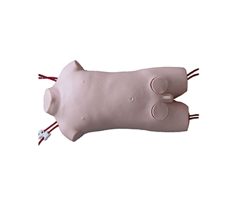 Child femoral vein and femoral artery puncture electric simulator