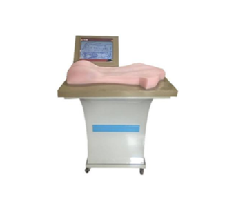 Acupuncture practice and examination system for back simulation points (T)