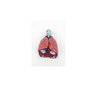 Human Respiratory System simulator (7 parts)