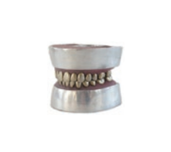 Metal tooth extraction model