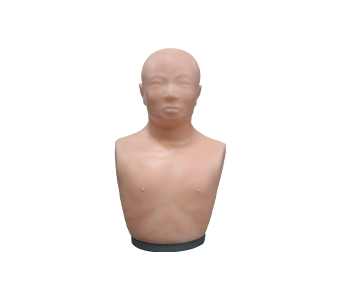 针灸头部训练模型