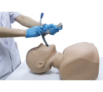Adult Intubation simulator