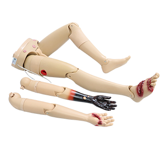 Traumatic limbs (Replaceable )