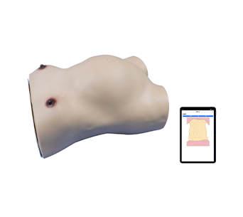Pregnant women's abdominal palpation training and assessment system