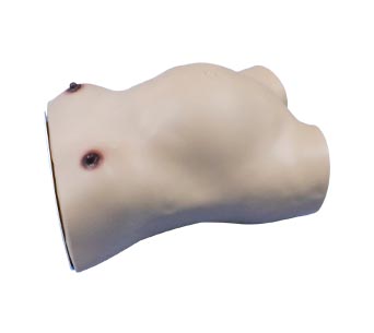 Pregnant woman's abdominal palpation and fetal heart monitoring model (twin)