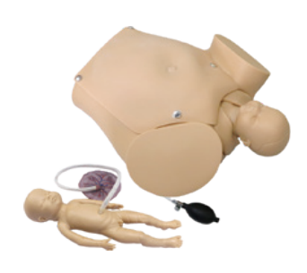 Advanced delivery mechanism simulator