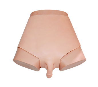 Cystostomy simulator male