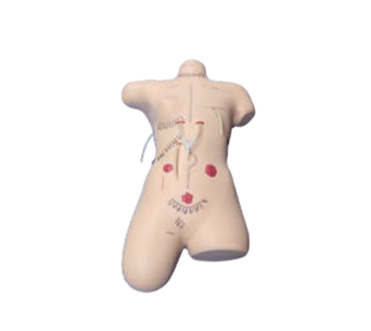 Surgical debridement and suture display simulator